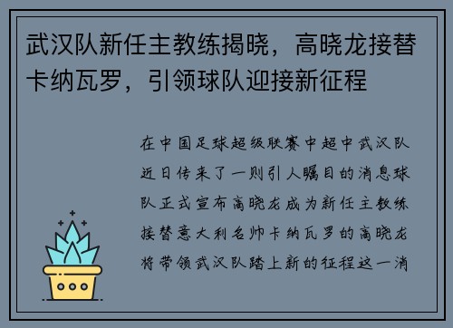 武汉队新任主教练揭晓，高晓龙接替卡纳瓦罗，引领球队迎接新征程